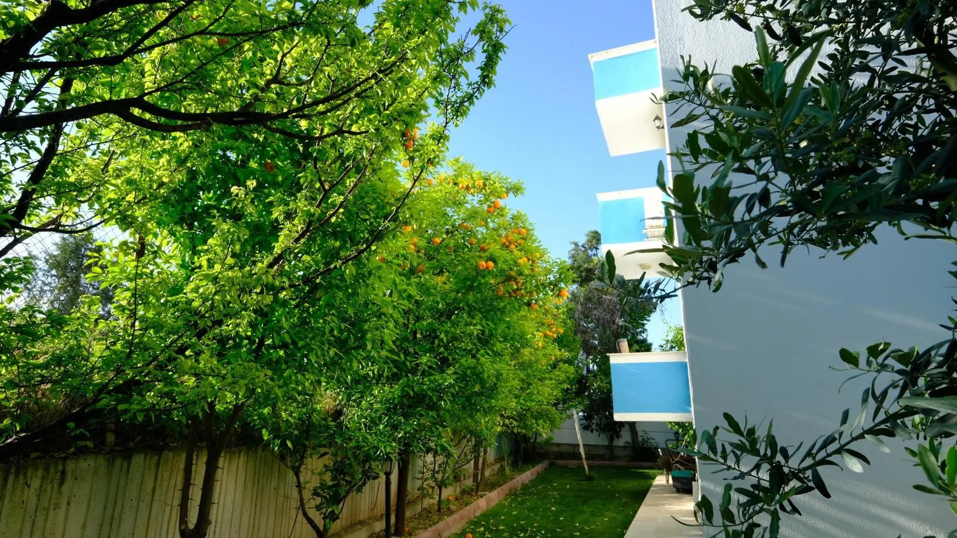 The Cotton House Bed & Breakfast Pamukkale Turkey